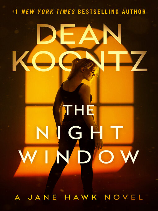 Cover image for The Night Window
